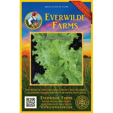 Everwilde Farms Mylar Seed Packet 500 Leisure Coriander Cilantro Herb Seeds 